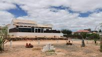 Vista exterior de Finca rústica en venda en Puerto del Rosario