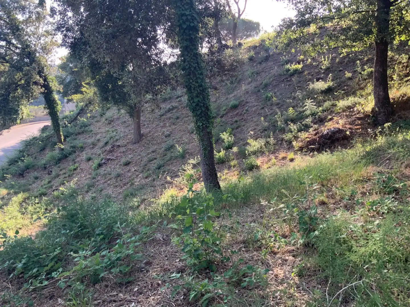 Residencial en venta en Santa Maria de Palautordera