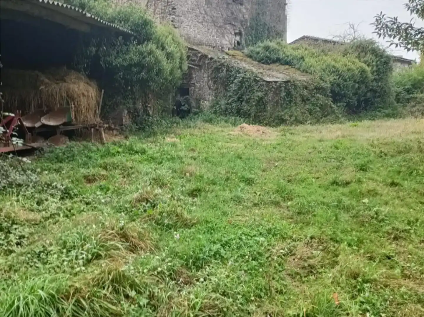 Finca rústica en venda en Castroverde