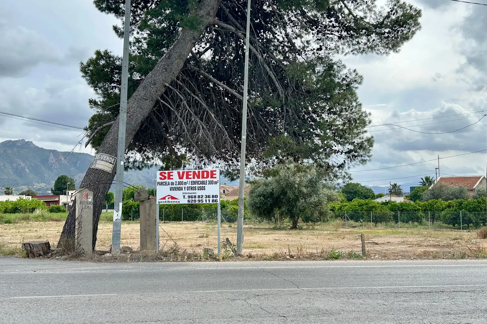 Vista exterior de Residencial en venta en  Murcia Capital