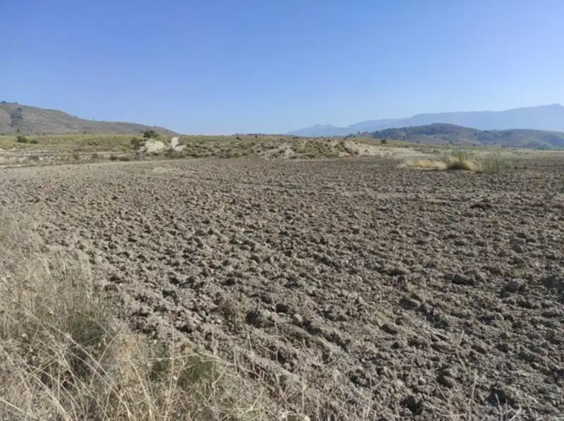 Land for sale in Cieza