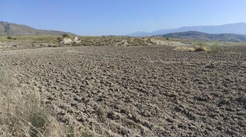 Photo 4 of Land for sale in Paraje de Benis, Parce, Cieza, Murcia