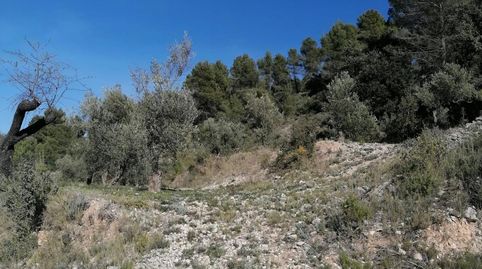 Foto 4 von Grundstücke zum Verkauf in Partida Foeta de Carrascal, Quatretondeta, Alicante