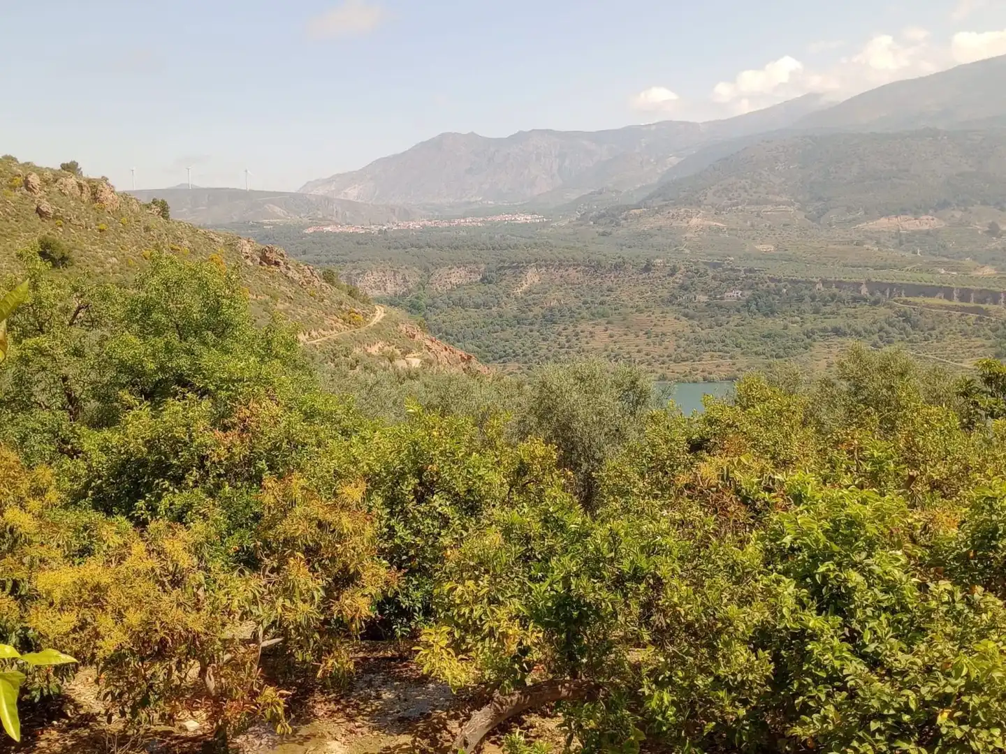 Terreni e lotti in vendita a El Valle, imagen 4