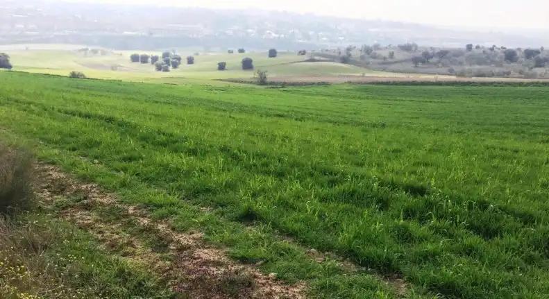 Rustikales Grundstück zum Verkauf in Parque Guadarrama, imagen 2