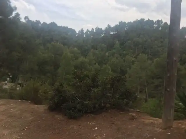 Terreno residencial en venta en Piera, imagen 11