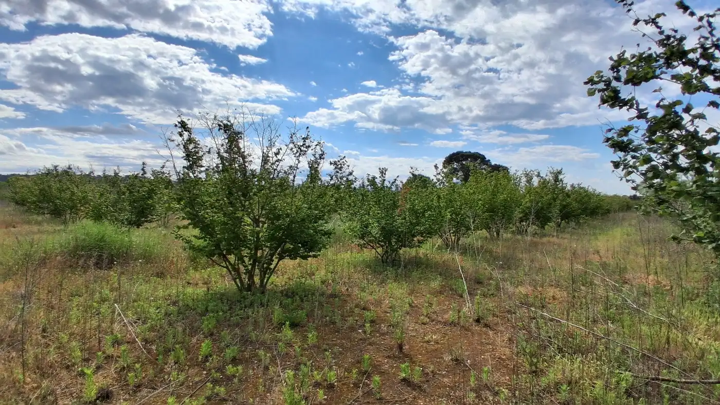 Terreno en venta en El Milà