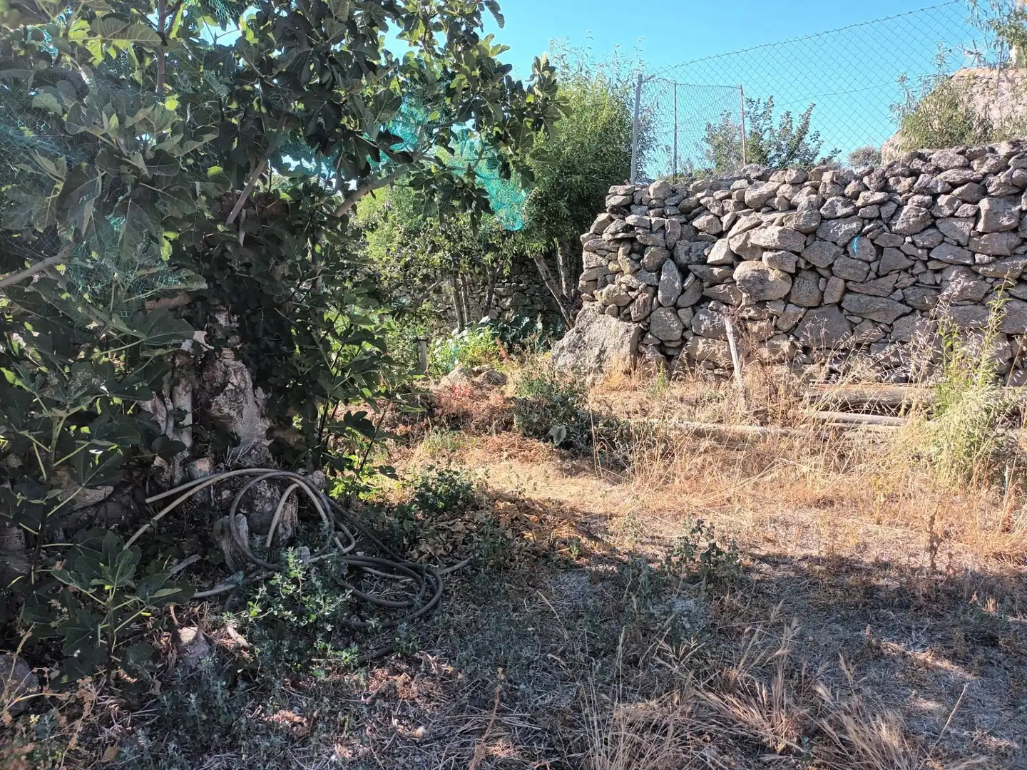 Terrenos y solares en venta en Ledesma, imagen 4