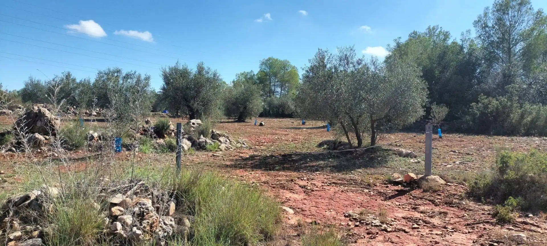 Rustikales Grundstück zum Verkauf in Xàtiva, imagen 6