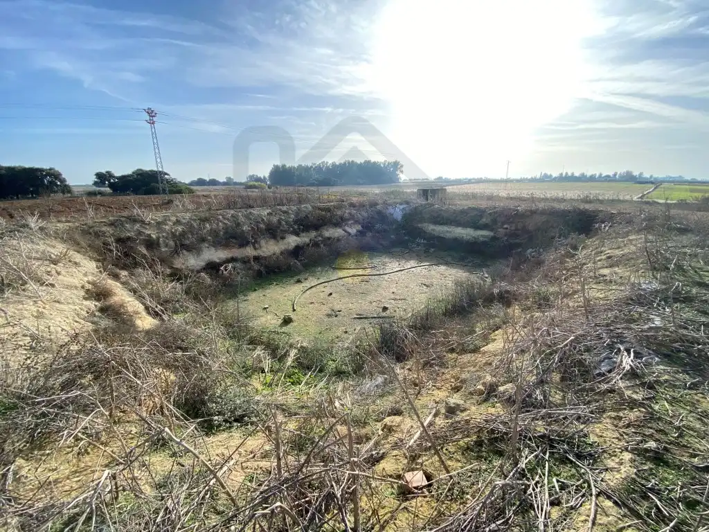 Terreni e lotti in vendita a Poligono 3 Paraje 470 La Indiana, imagen 4