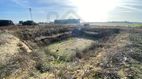Foto 4 de Terreny en venda a Poligono 3 Paraje 470 la Indiana, Pedanías Norte, Utrera