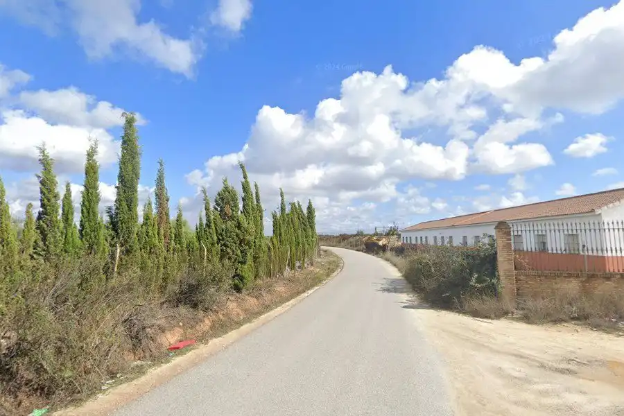 Terreni e lotti in vendita a Moguer, imagen 3
