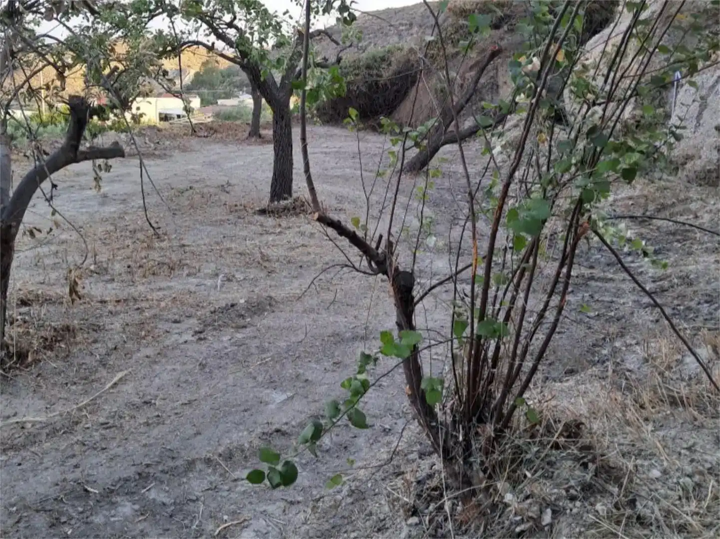 Planta baixa en venda en Partaloa amb Jardí privat