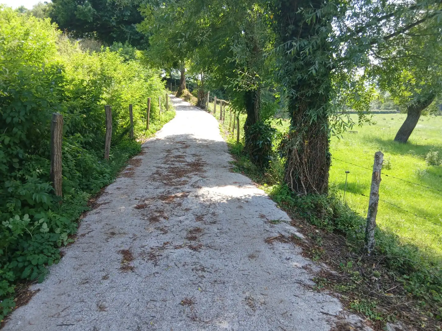 Terreni e lotti in vendita a San Felices de Buelna, imagen 4