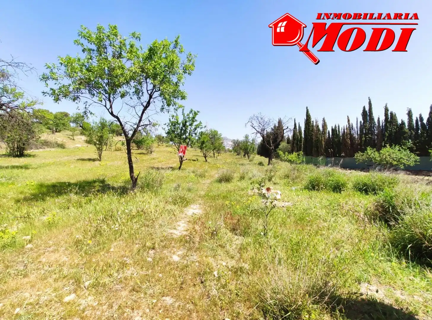 Lands and plots for sale in Villamena, imagen 4