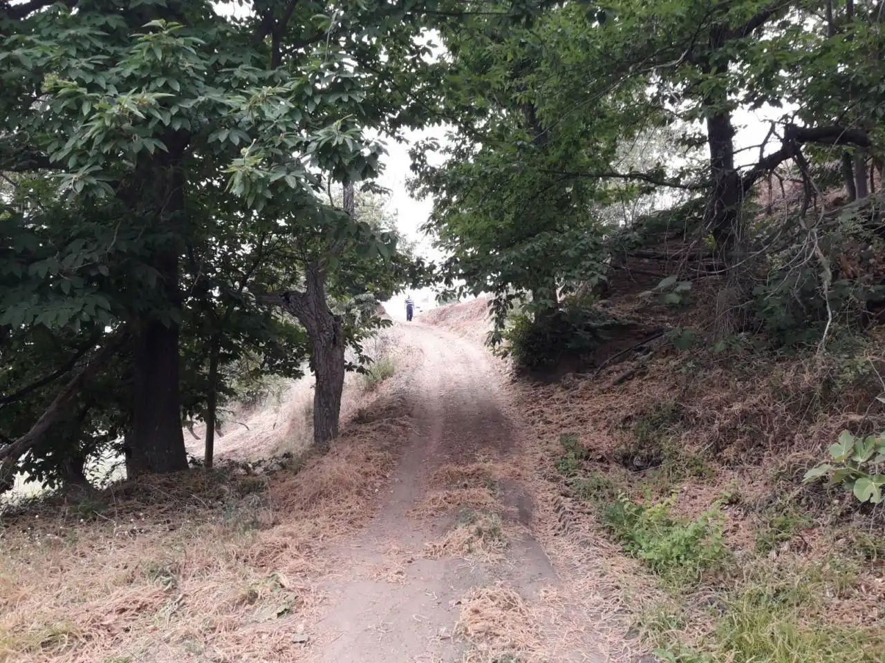 Terreni e lotti in vendita a Nevada, imagen 6