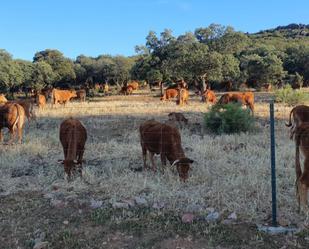 Vista exterior de Finca rústica en venda en Ciudad Real Capital