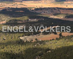 Country house zum verkauf in Ayora mit Privatgarten, Parkett und Terrasse