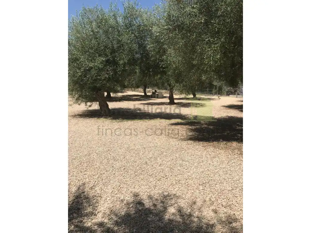 Casa amb piscina en venda a San Jorge / Sant Jordi, imagen 34