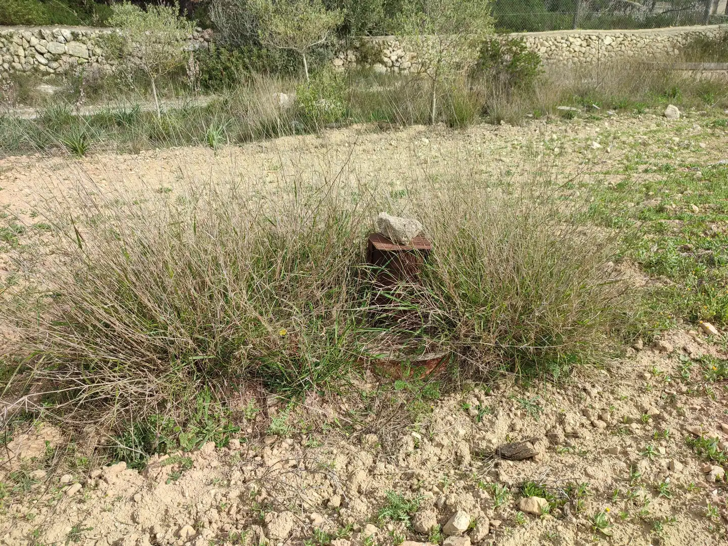 Finca rústica en venda en Montuïri amb Jardí privat i Terrassa