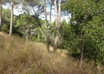 Terrenos y solares en venta en Corbera de Llobregat