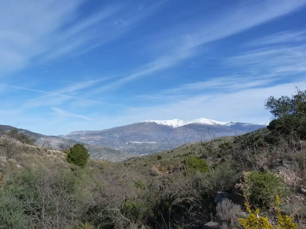 Terrenys i solars en venda a Vélez de Benaudalla, imagen 7