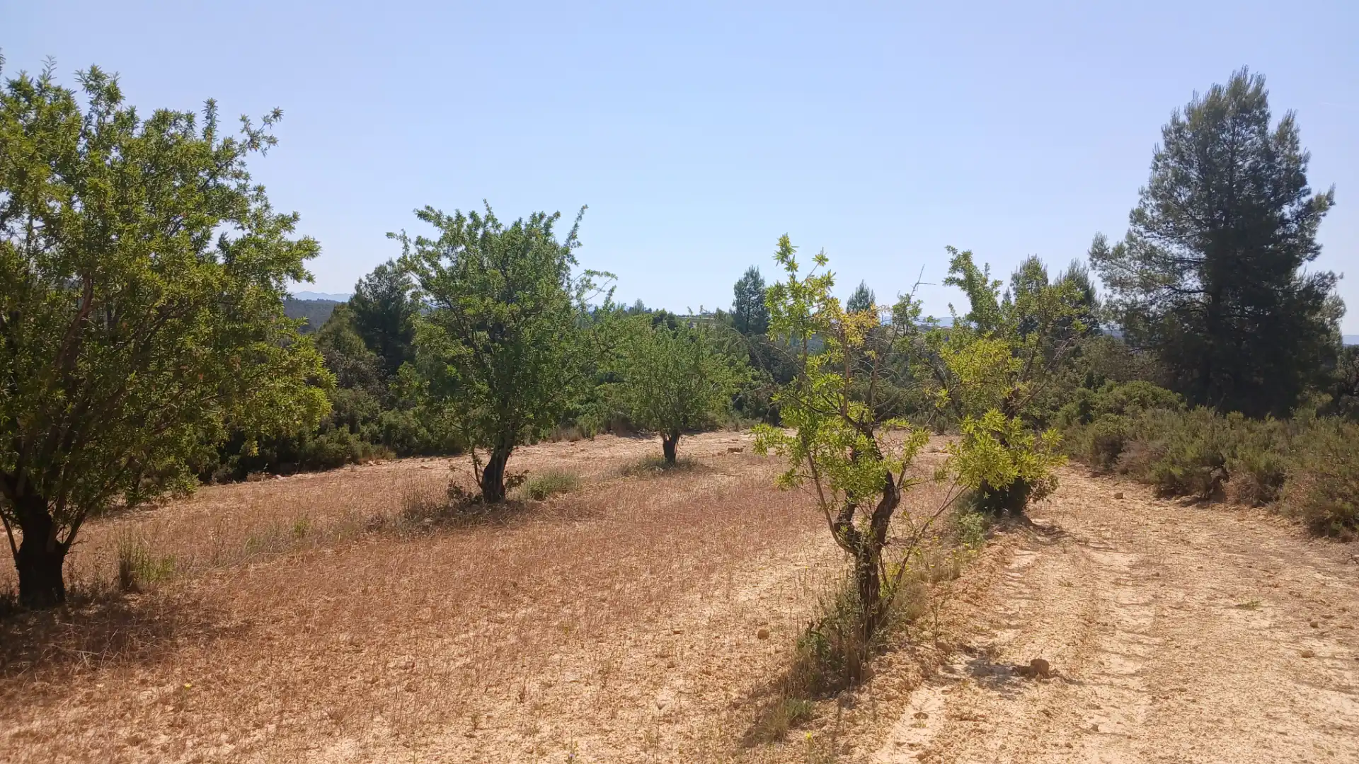 Terreno rustico in vendita a N/A, imagen 6