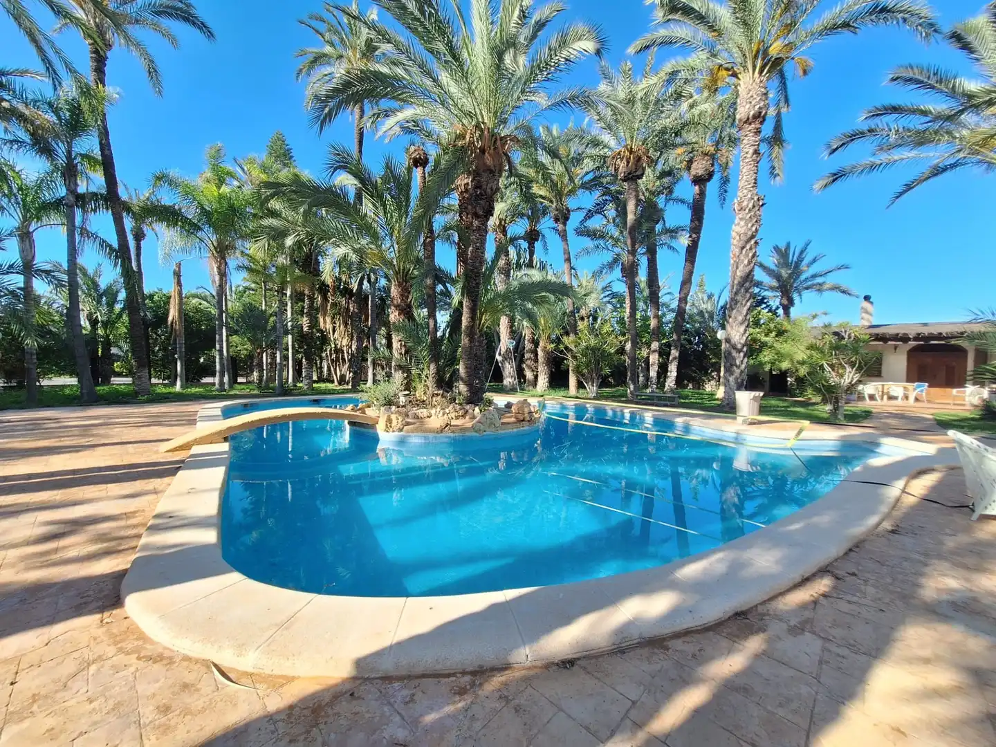 Piscina de Casa o chalet en venta en Elche / Elx