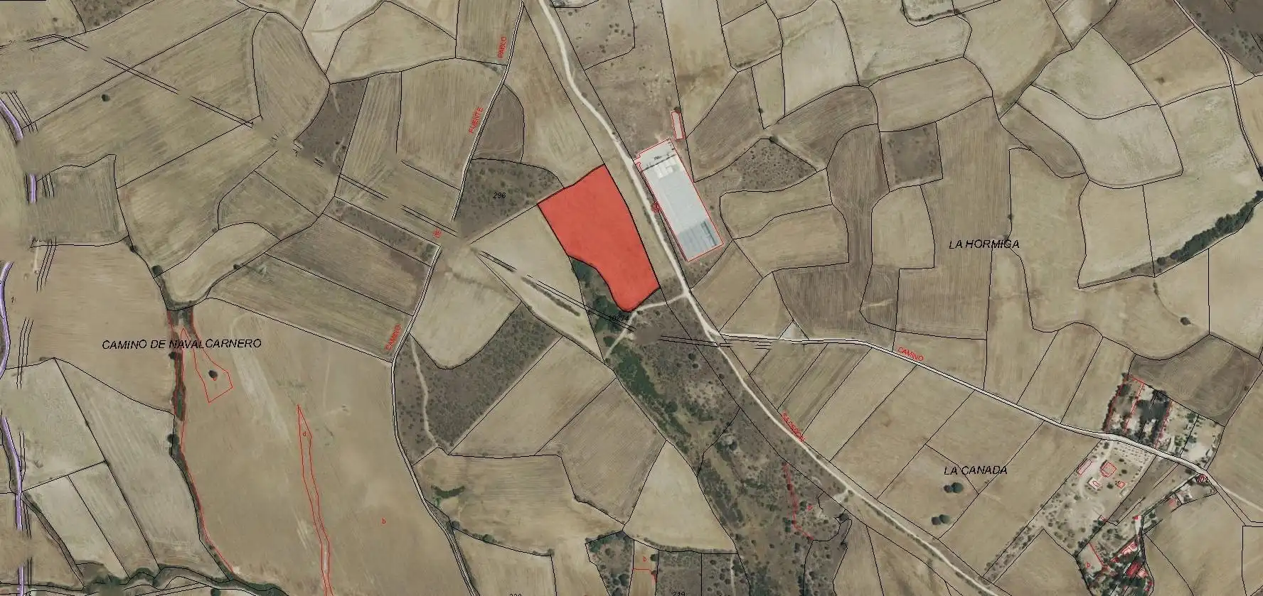Terreny rústic en venda a Camino Sacedón, imagen 4
