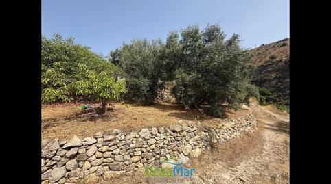 Foto 5 de Residencial en venda a Los Bancales, El Rescate - Río Seco, Granada