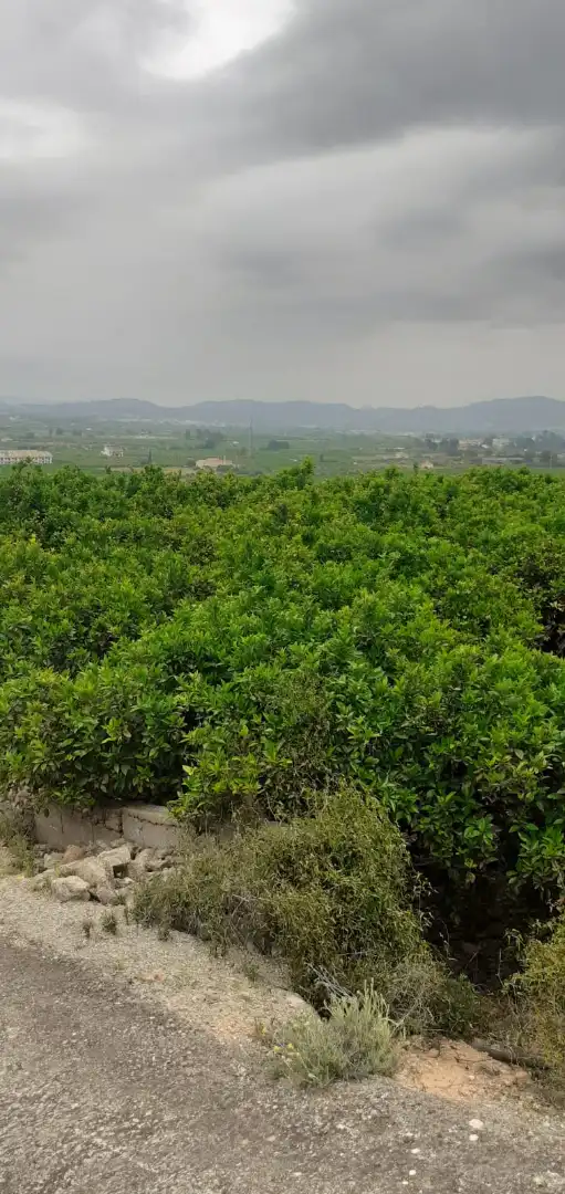 Terreno en venta en Xàtiva