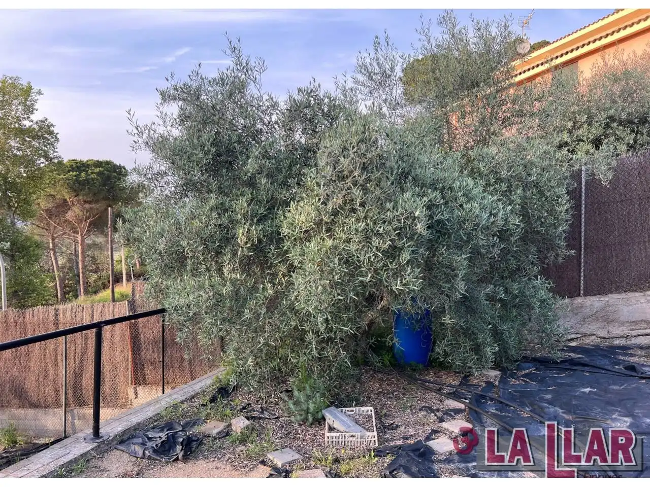 Terreno rustico in vendita a Vilanova del Vallès, imagen 9