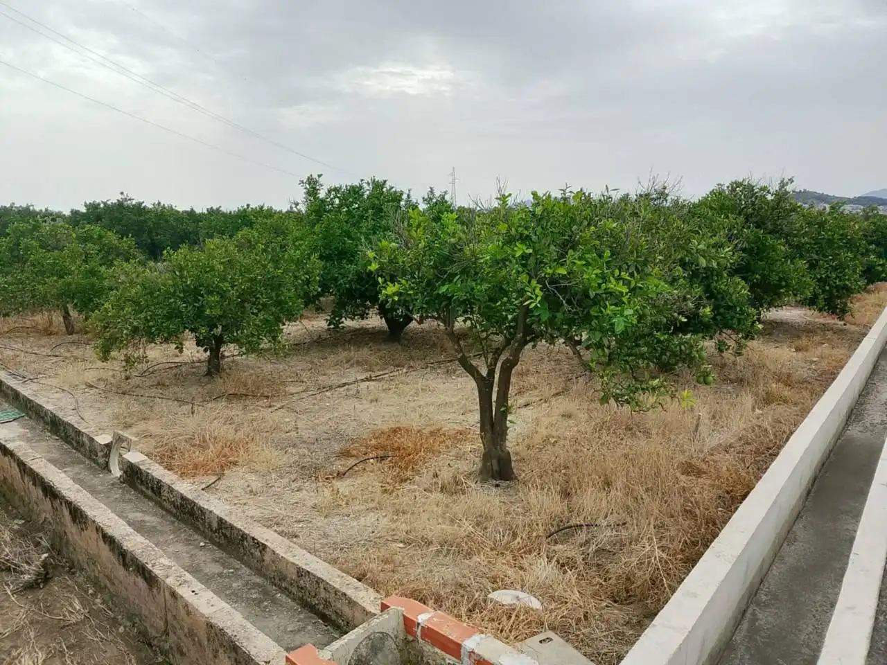 Terreny rústic en venda a Carretera Nazaret a Oliva 670, imagen 7