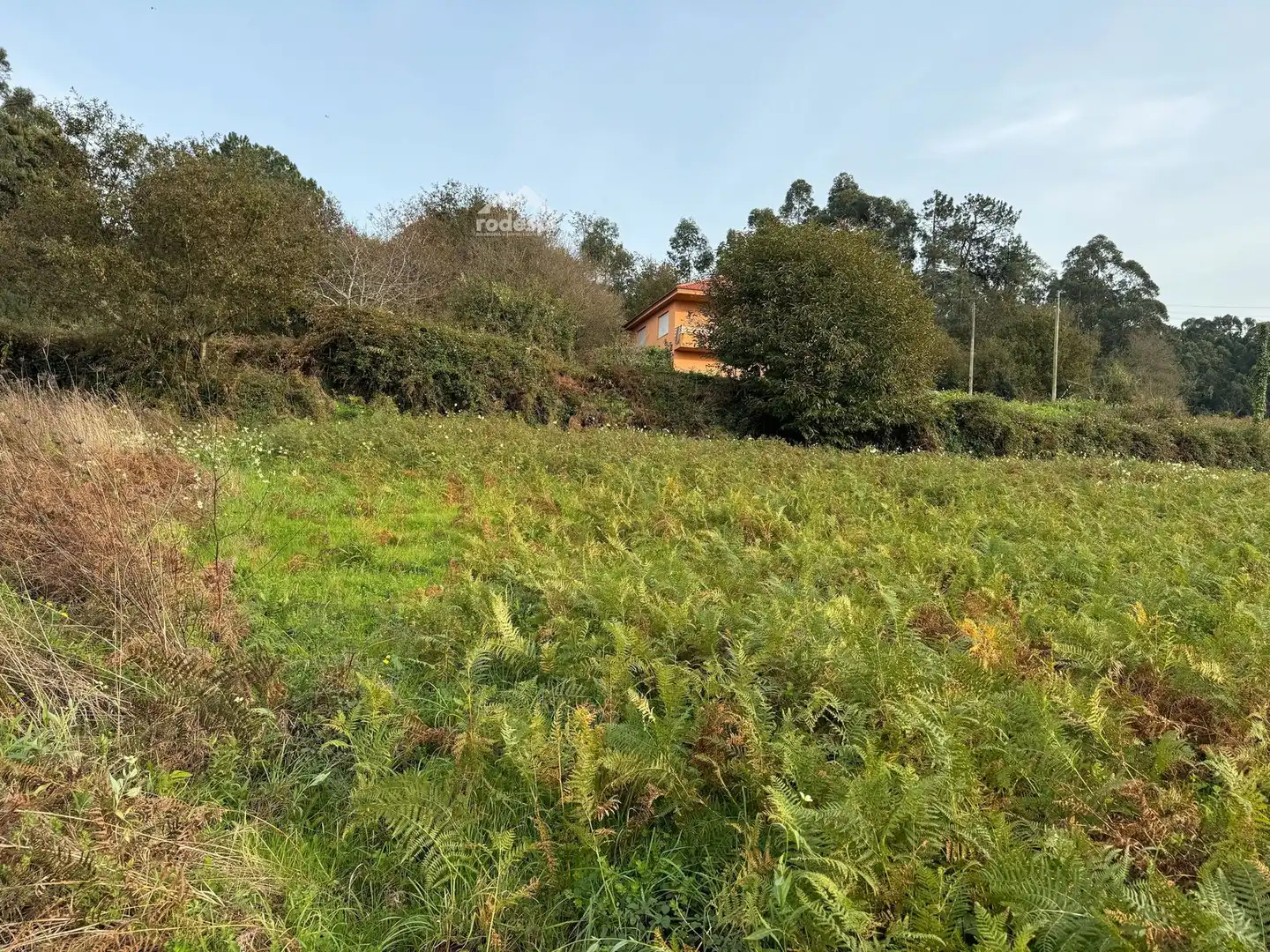 Terreno rústico en venta en Bembrive, imagen 24