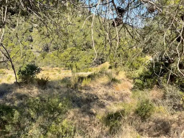 Terrenys i solars en venda a Callosa d'en Sarrià, imagen 3