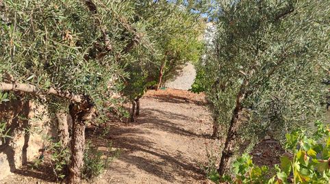 Foto 2 von Haus oder Chalet zum Verkauf in Iznalloz, Granada