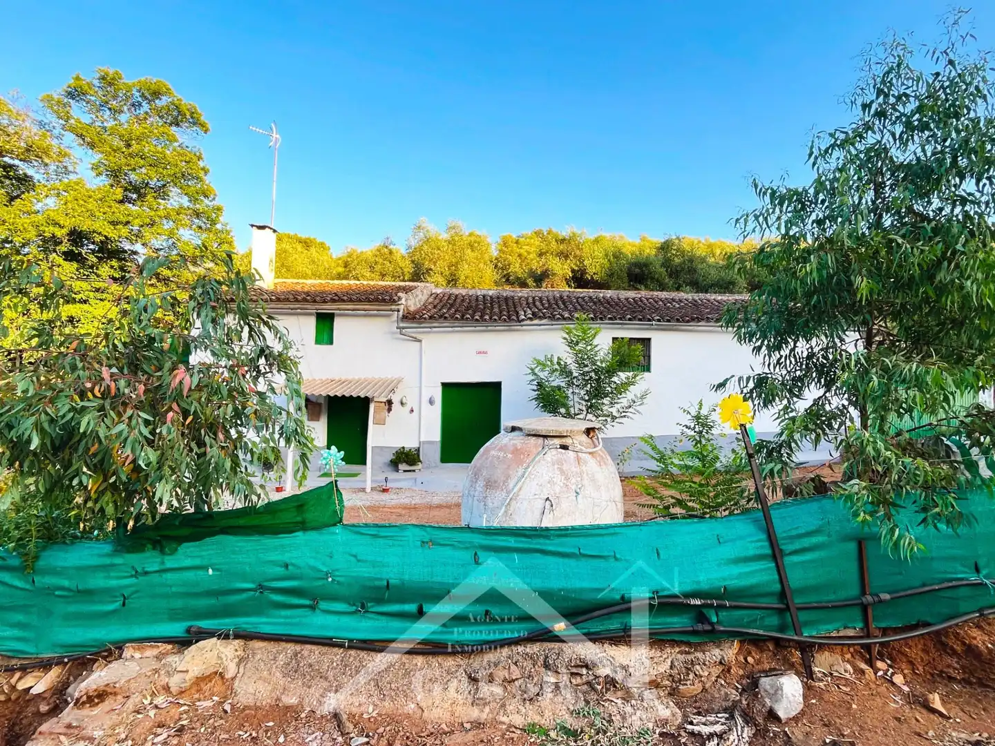 Exterior view of Land for sale in Constantina