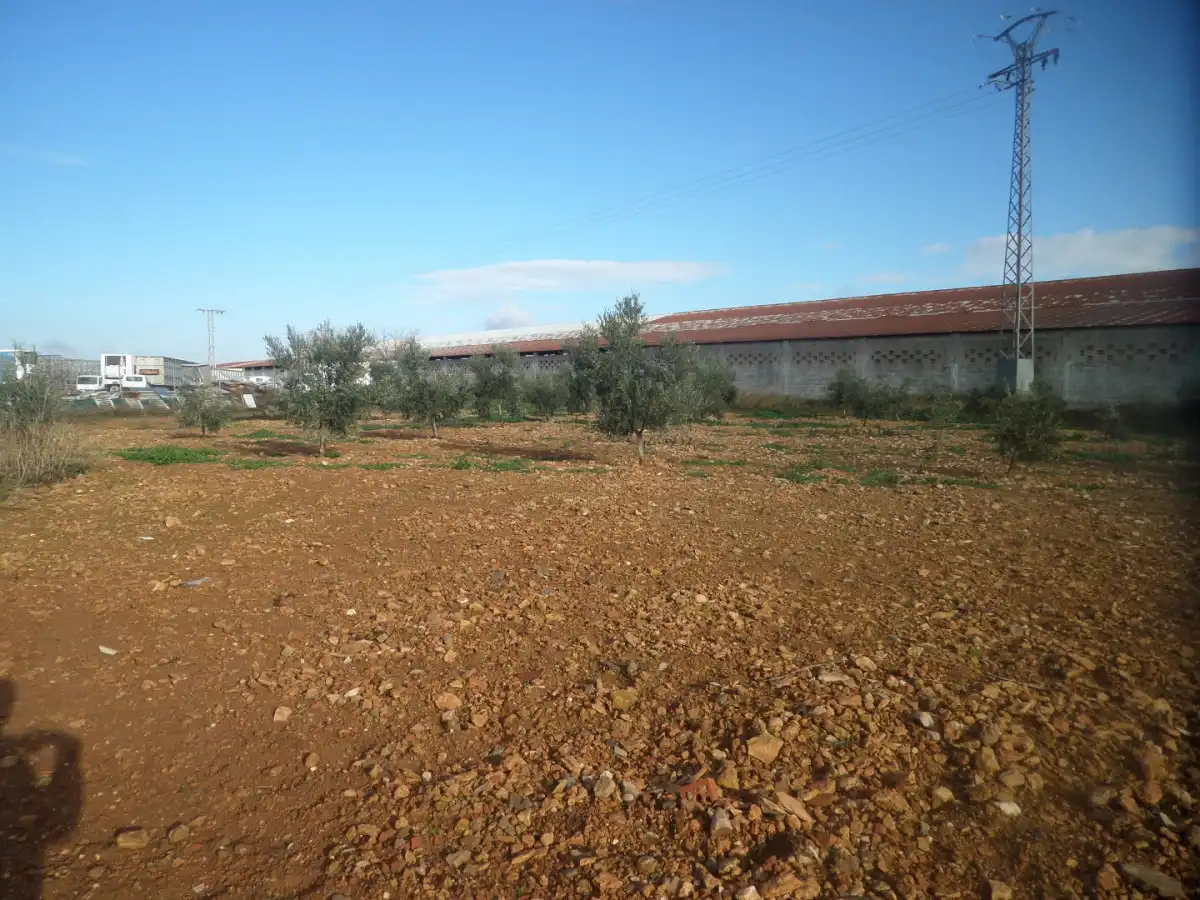 Nau industrial en venda a Tomelloso, imagen 2