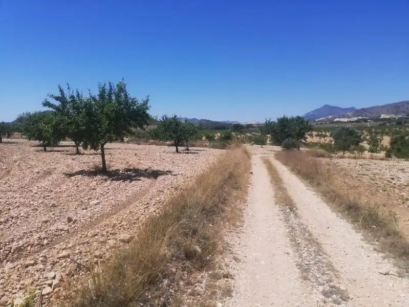 Lands and plots for sale in El Poste Partido De Collado Del Rey 176, imagen 2