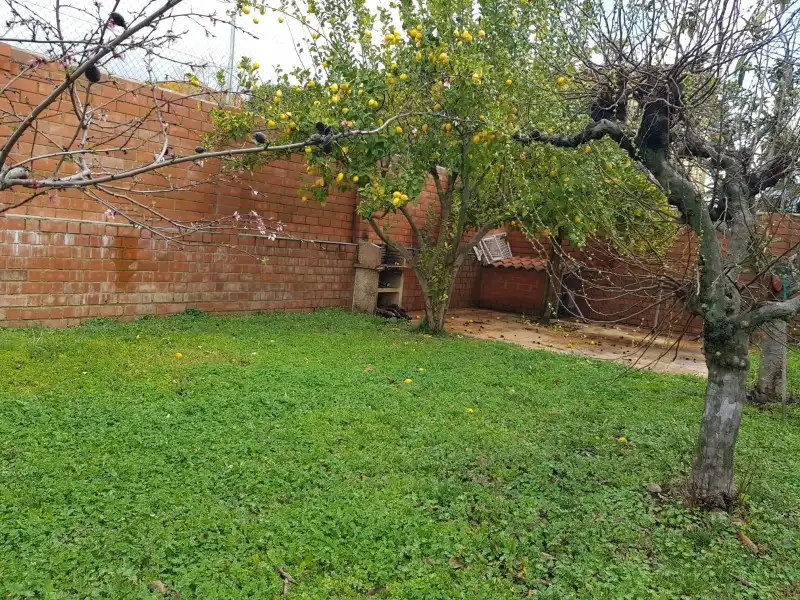 Jardí de Casa o xalet en venda en Tejeda de Tiétar amb Terrassa i Piscina