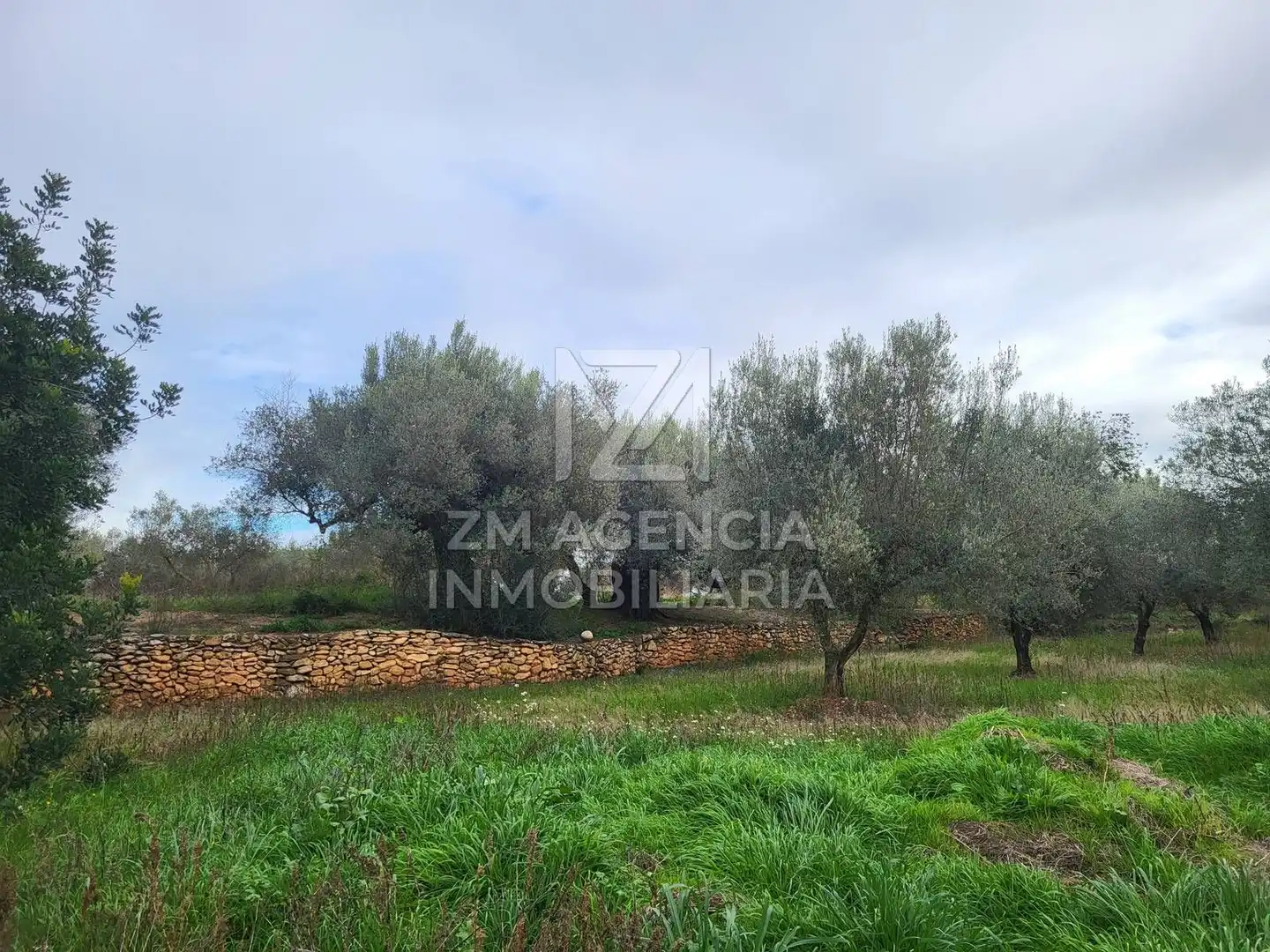 Terreno rustico in vendita a Cabanes, imagen 24