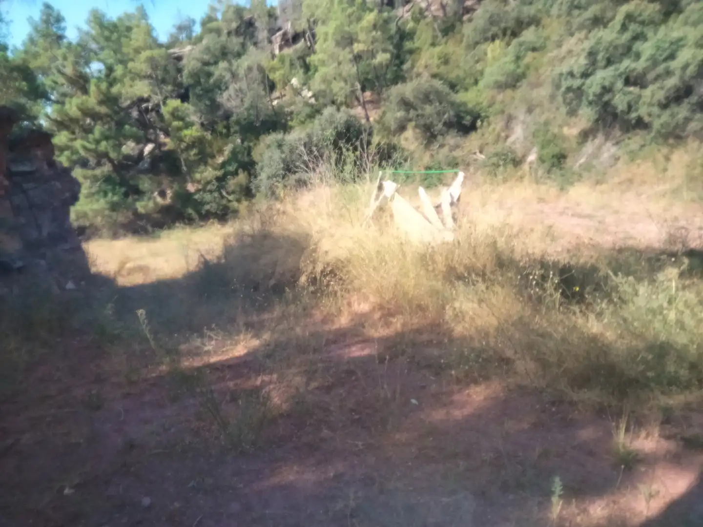 Rural land for sale in Gátova
