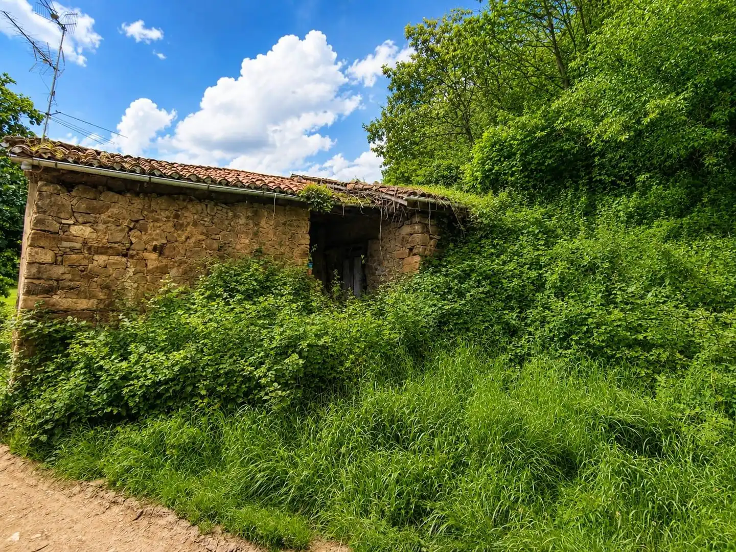Vista exterior de Casa o xalet en venda en Lena