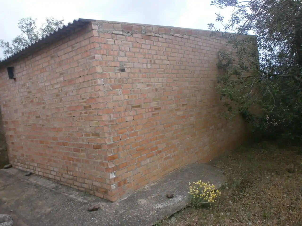 Terreny rústic en venda a Avinguda de Reus, imagen 10