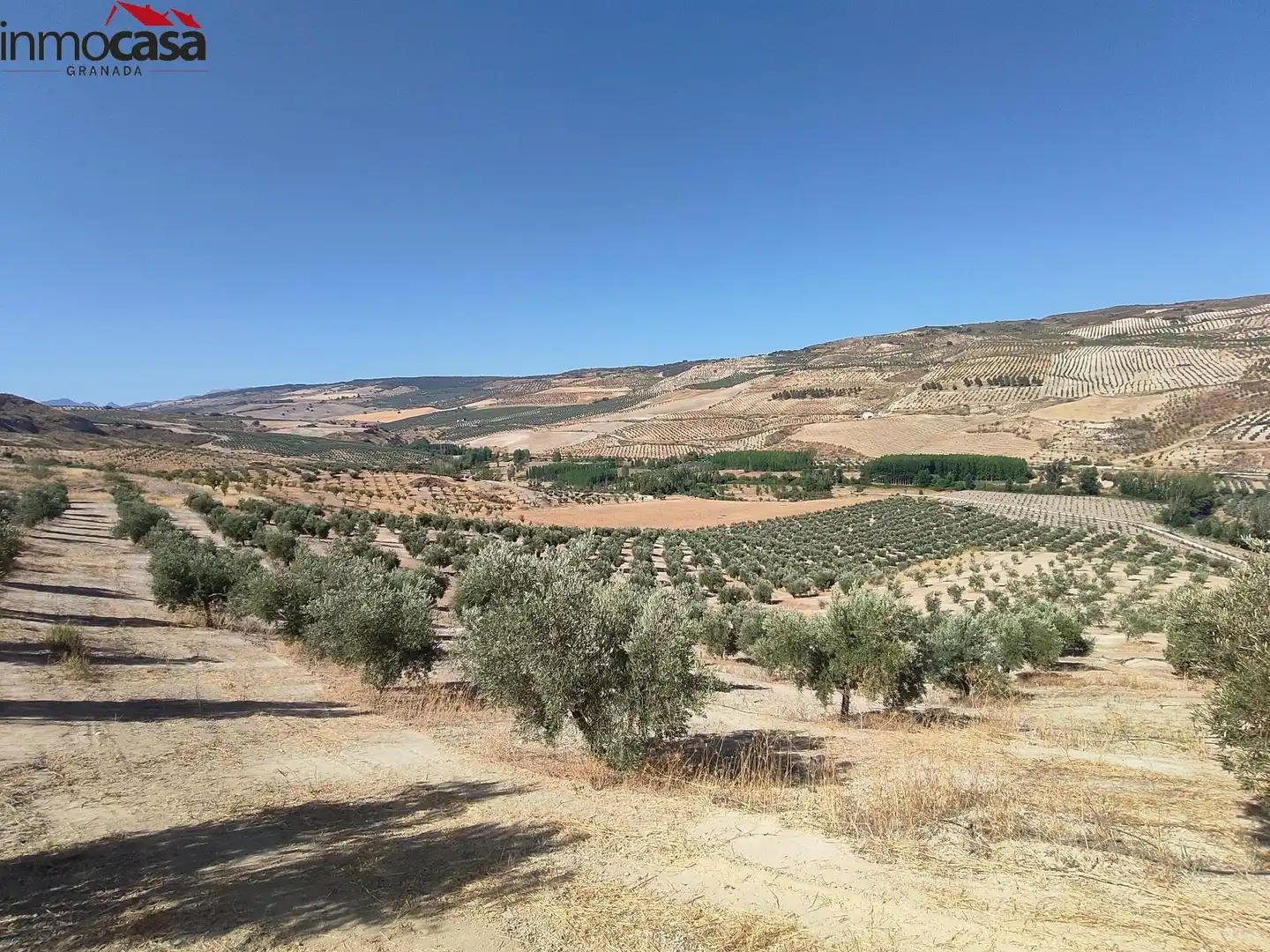 Rural land for sale in Santa Cruz del Comercio, imagen 10
