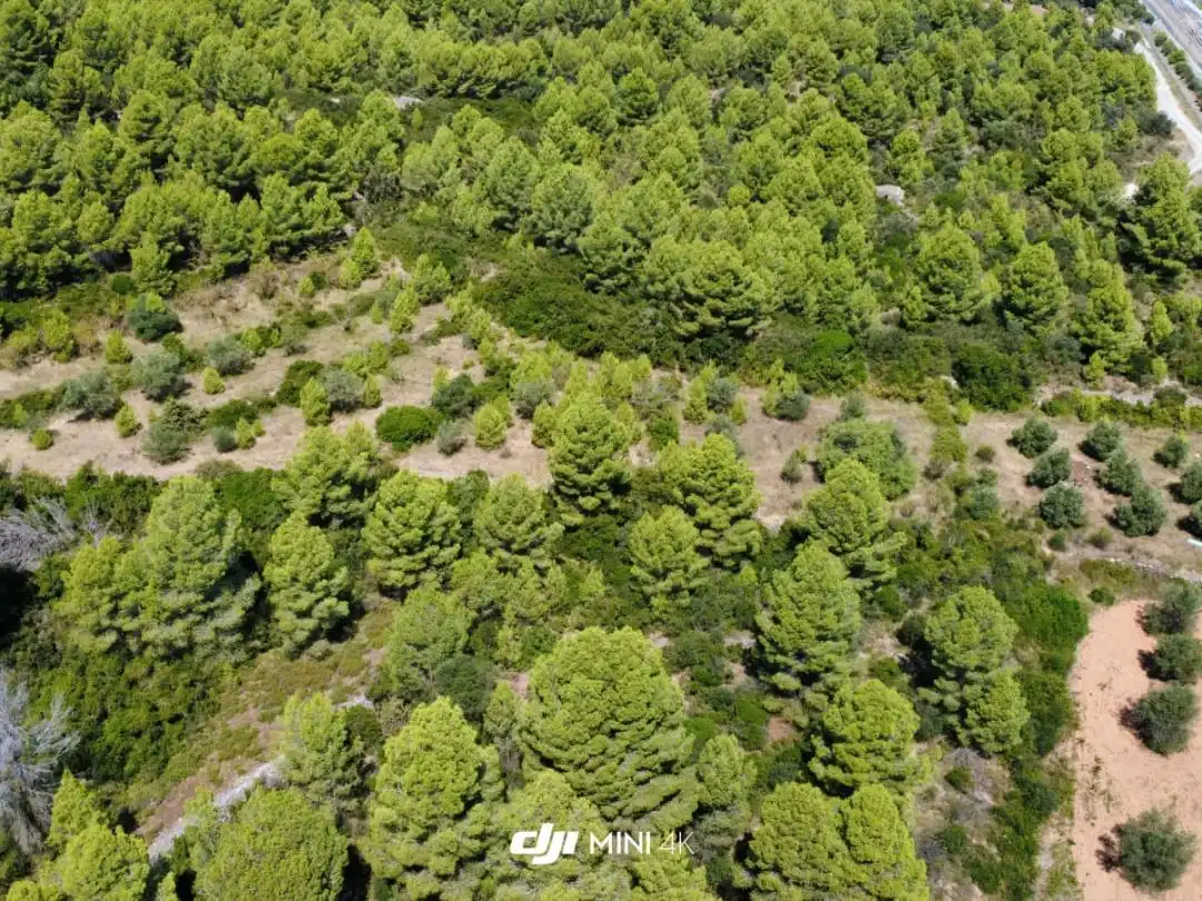 Terreno rustico in vendita a N-IIa 11, imagen 3
