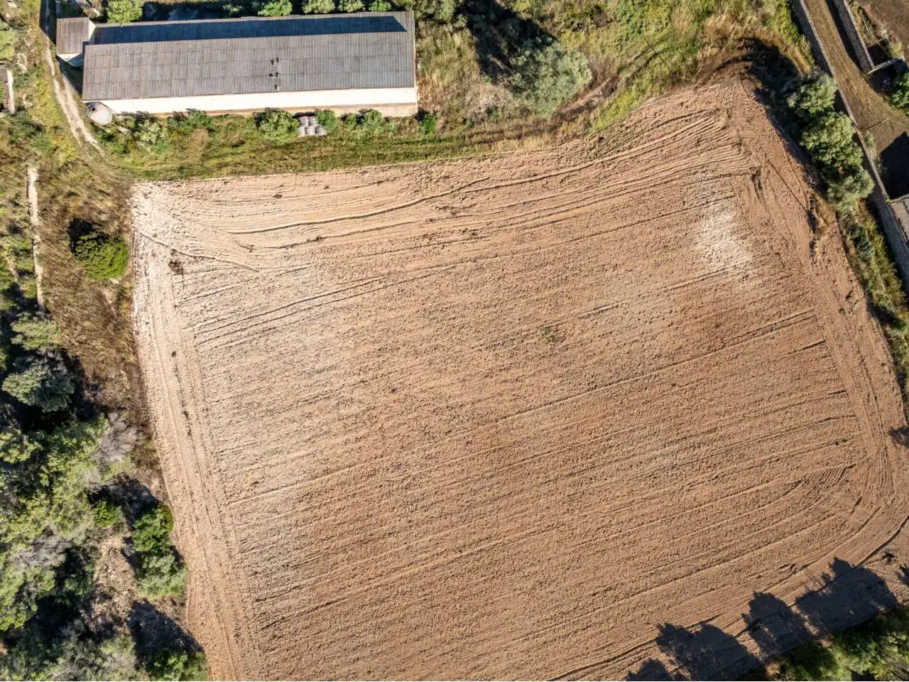 Terreno rustico in vendita a Llucmajor pueblo, imagen 91