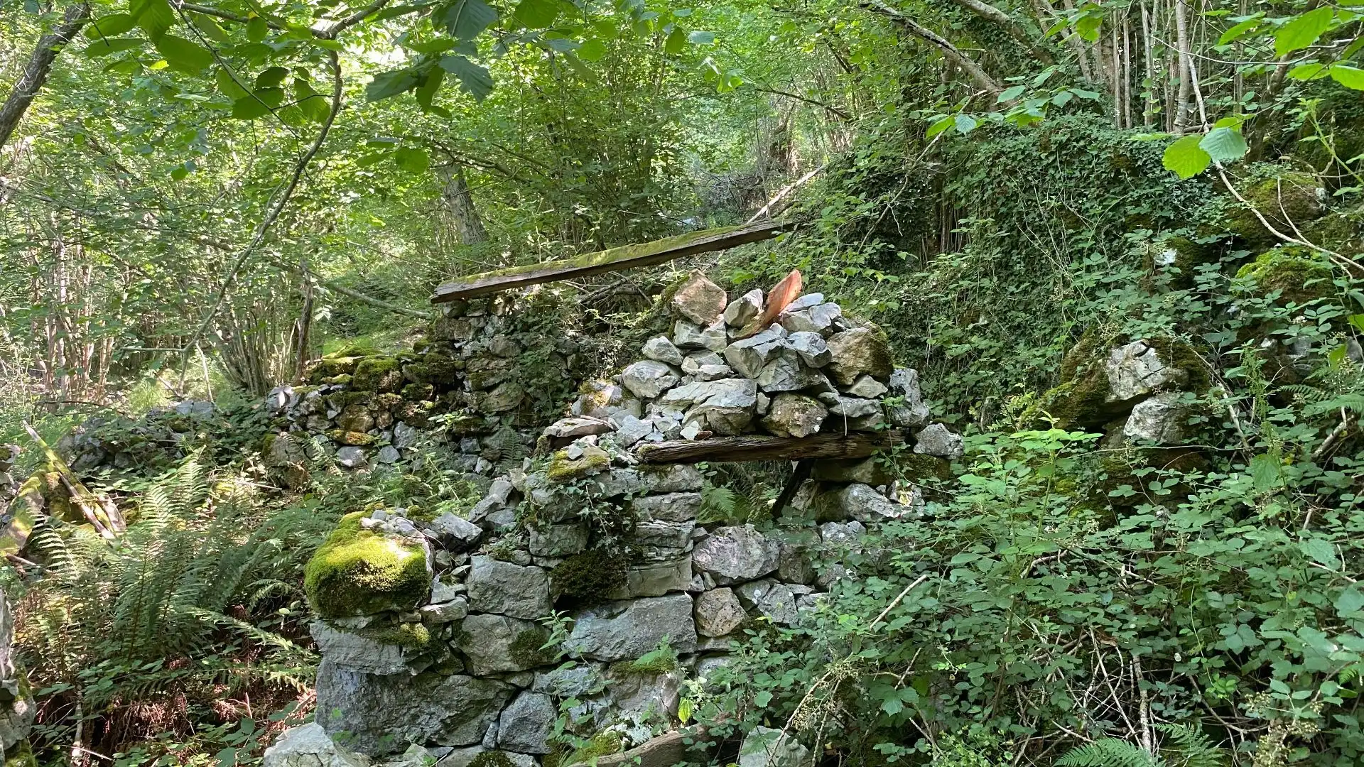 Terreno rustico in vendita a SEGÜENCO, imagen 27