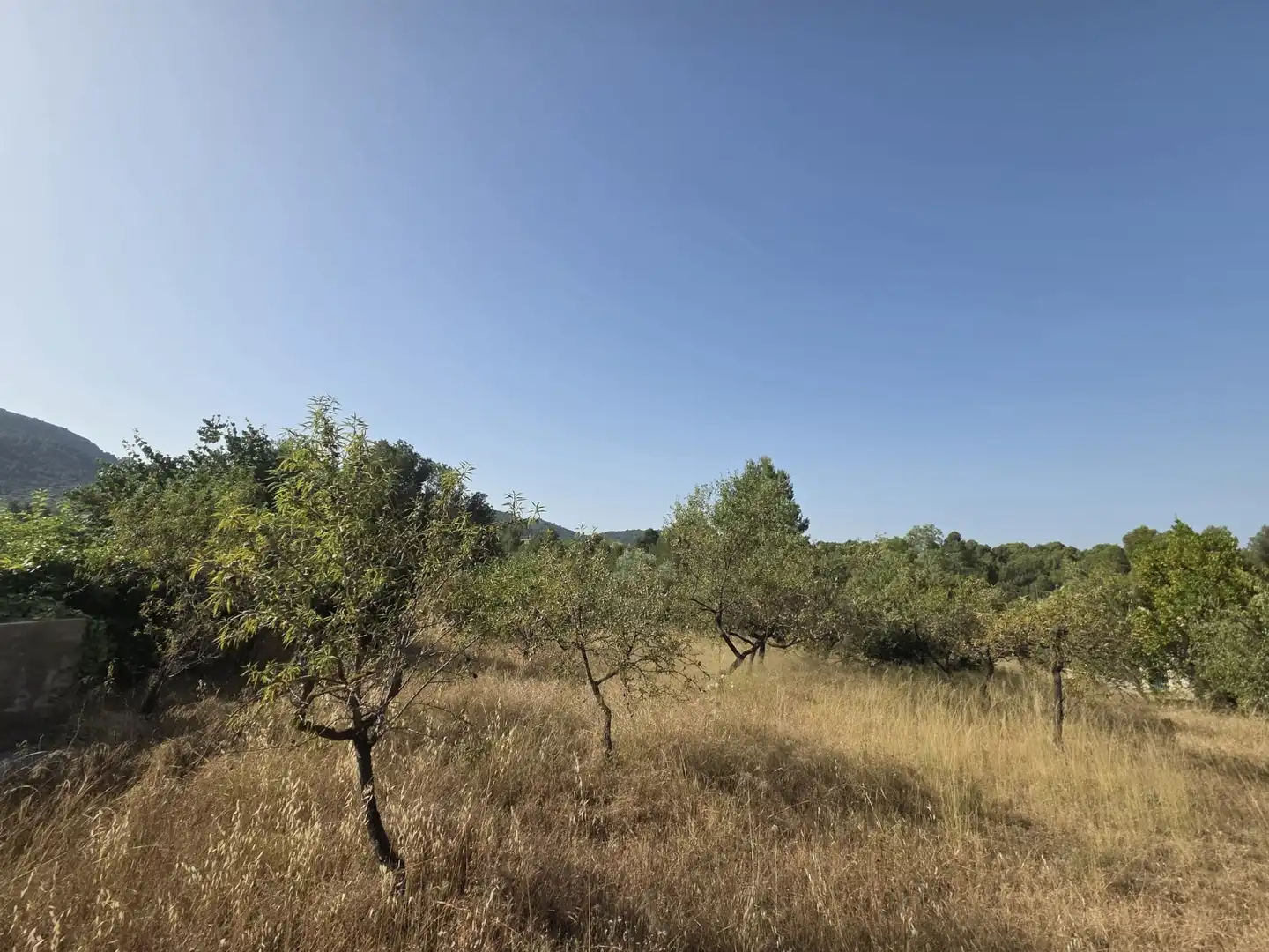 Residential land for sale in Sant Joan de Moró