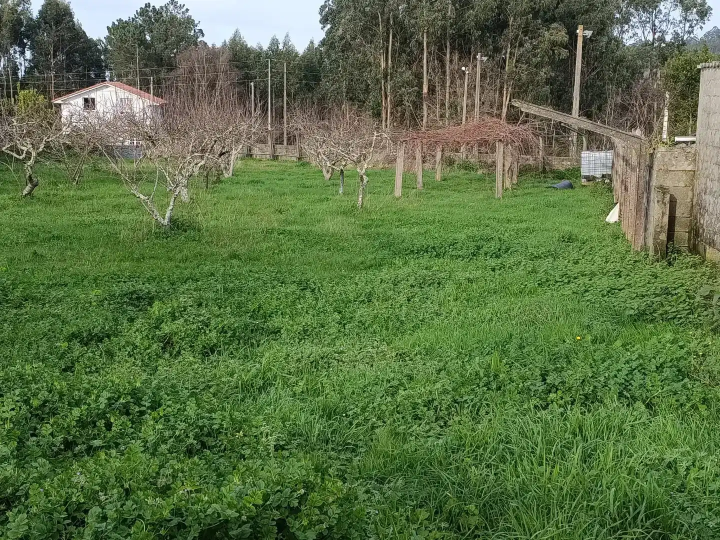 Erdgeschoss zum Verkauf in Fene mit Privatgarten